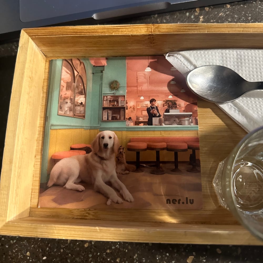 Nerlu coaster 57