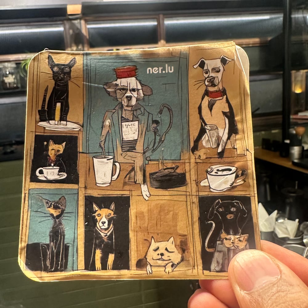 Nerlu coaster 13