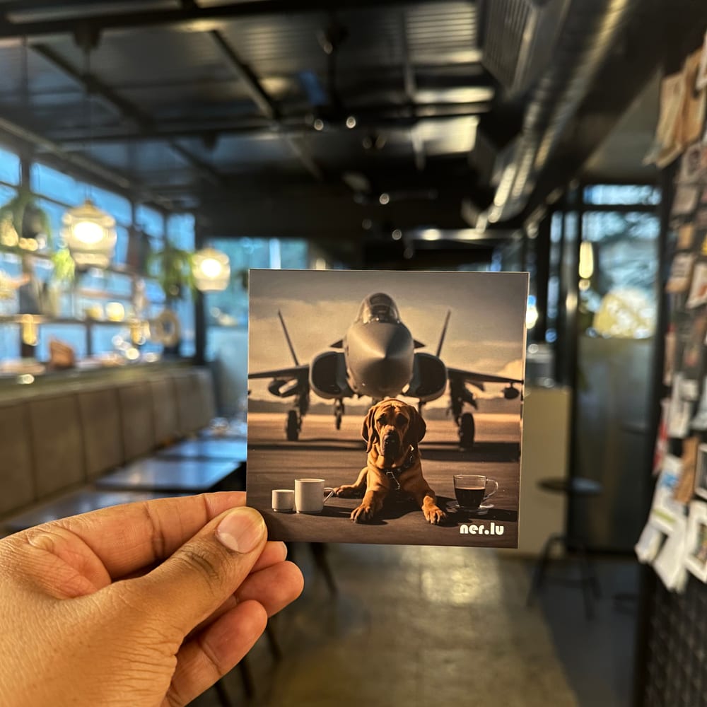 Nerlu coaster 33