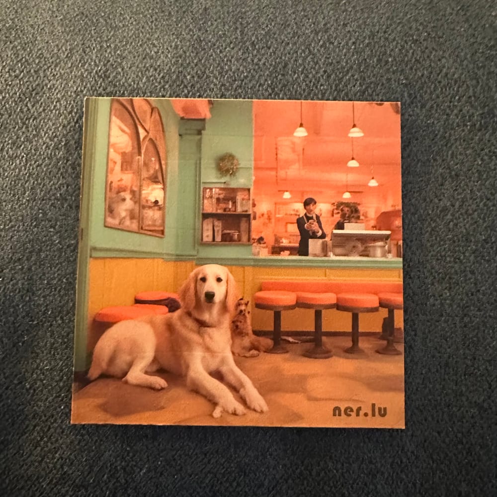 Nerlu coaster 49