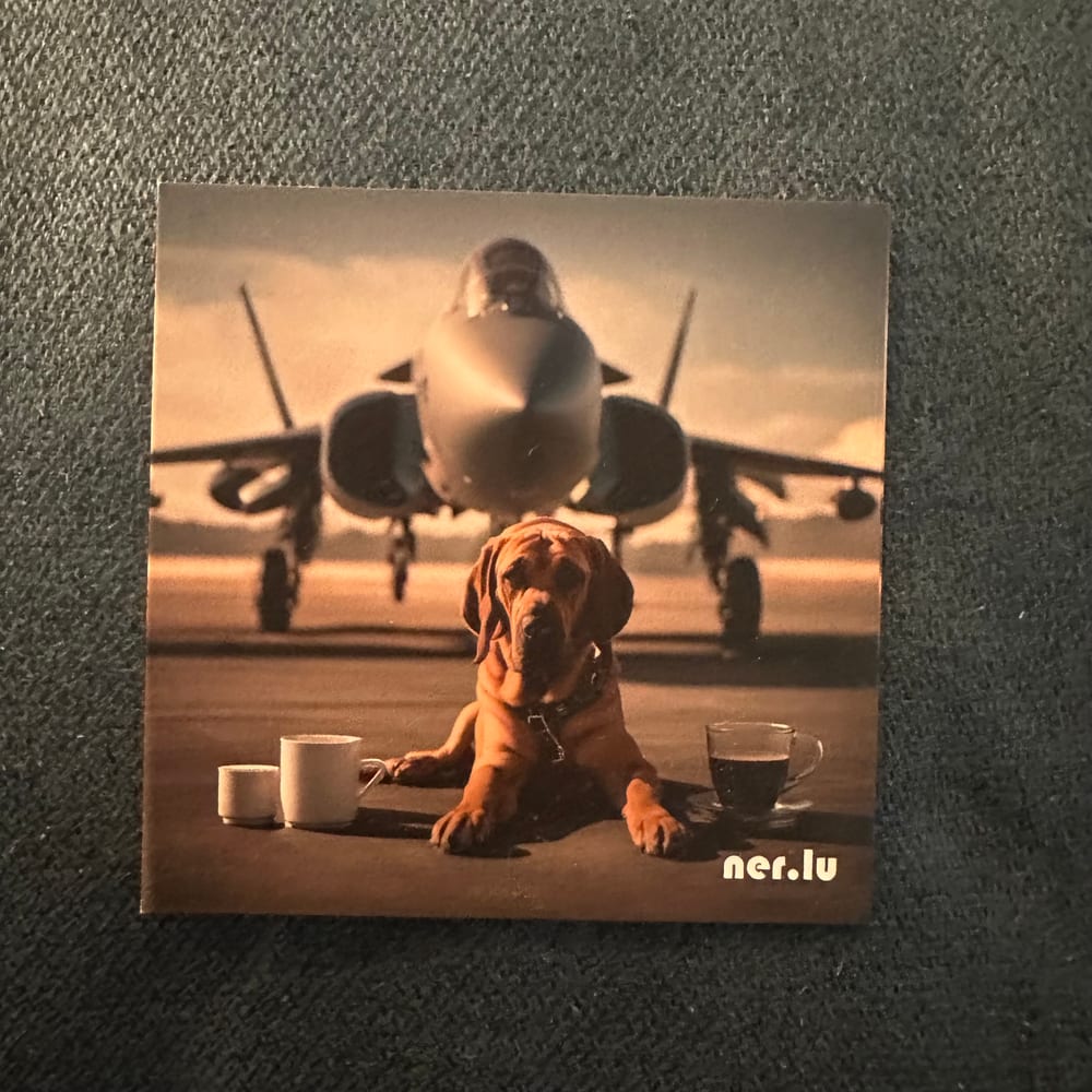 Nerlu coaster 116