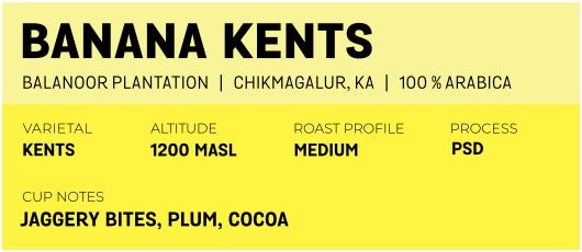 Banana Kents by Half Light