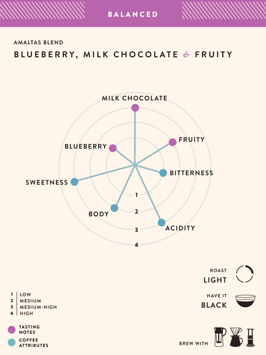 Cold Brew Blend Light by Blue Tokai