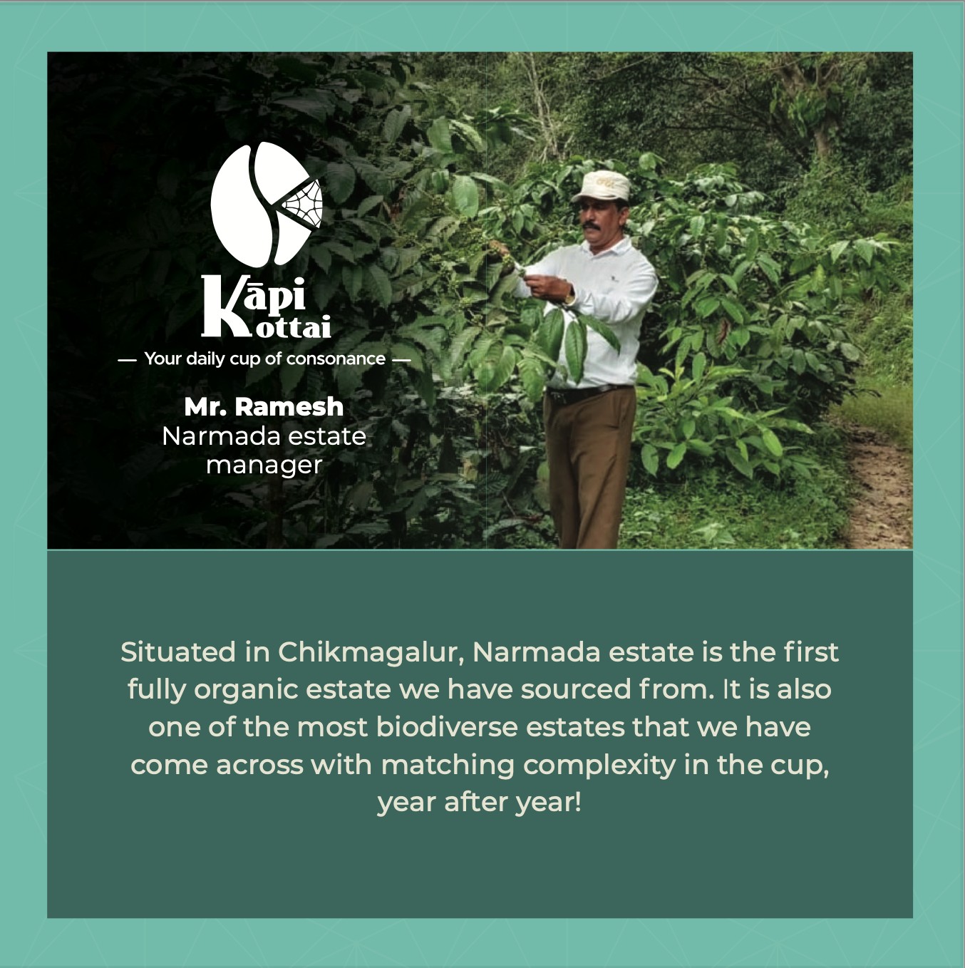 Arabhi Narmada Estate by Kapi Kottai