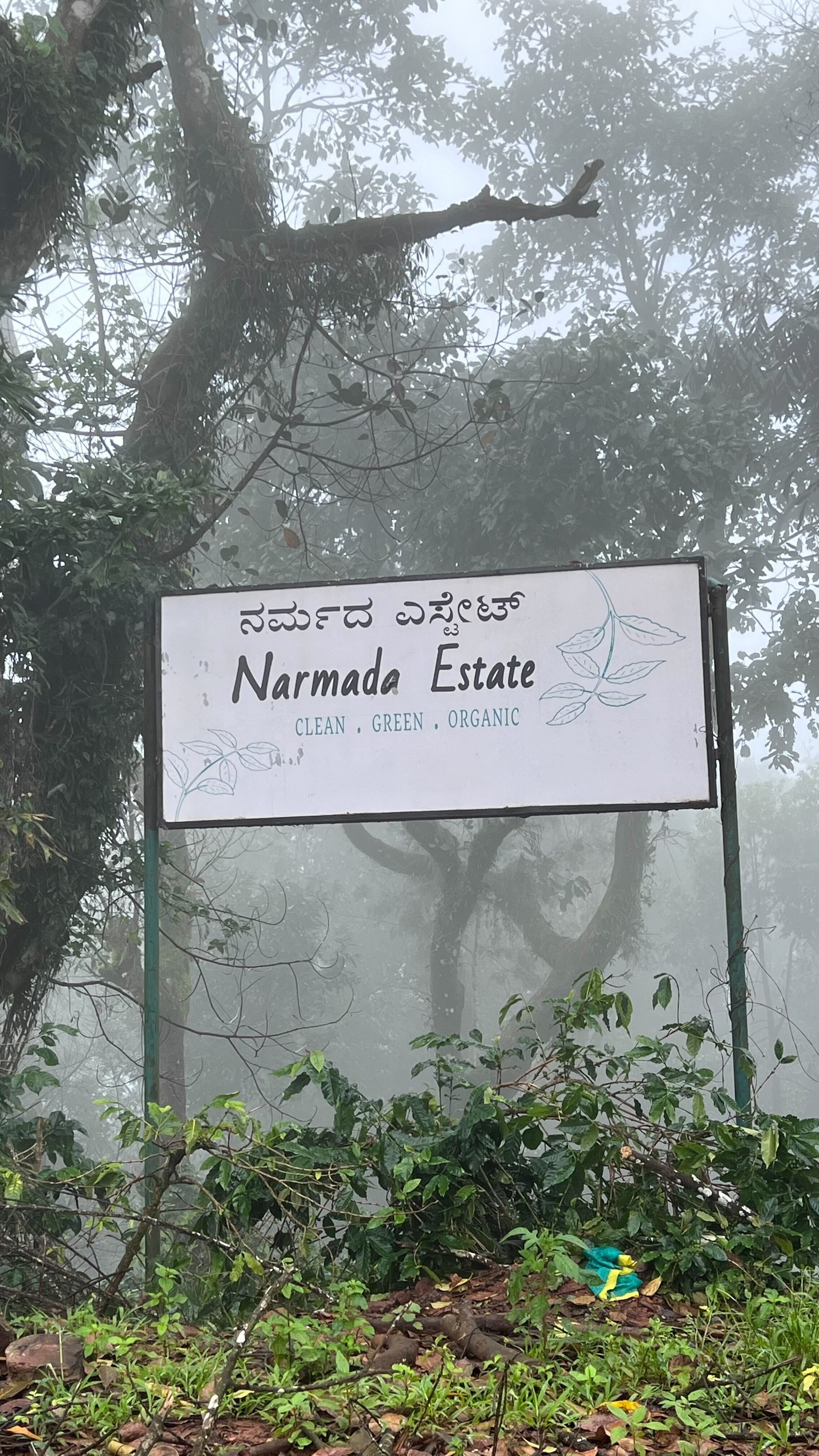 Arabhi Narmada Estate by Kapi Kottai