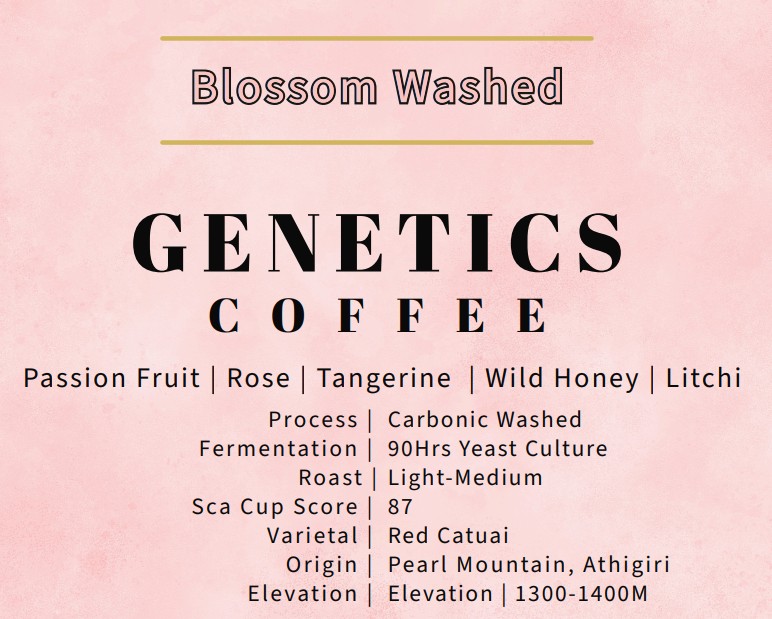 Blossom Washed by Genetics Coffee (Koffie Genetics)