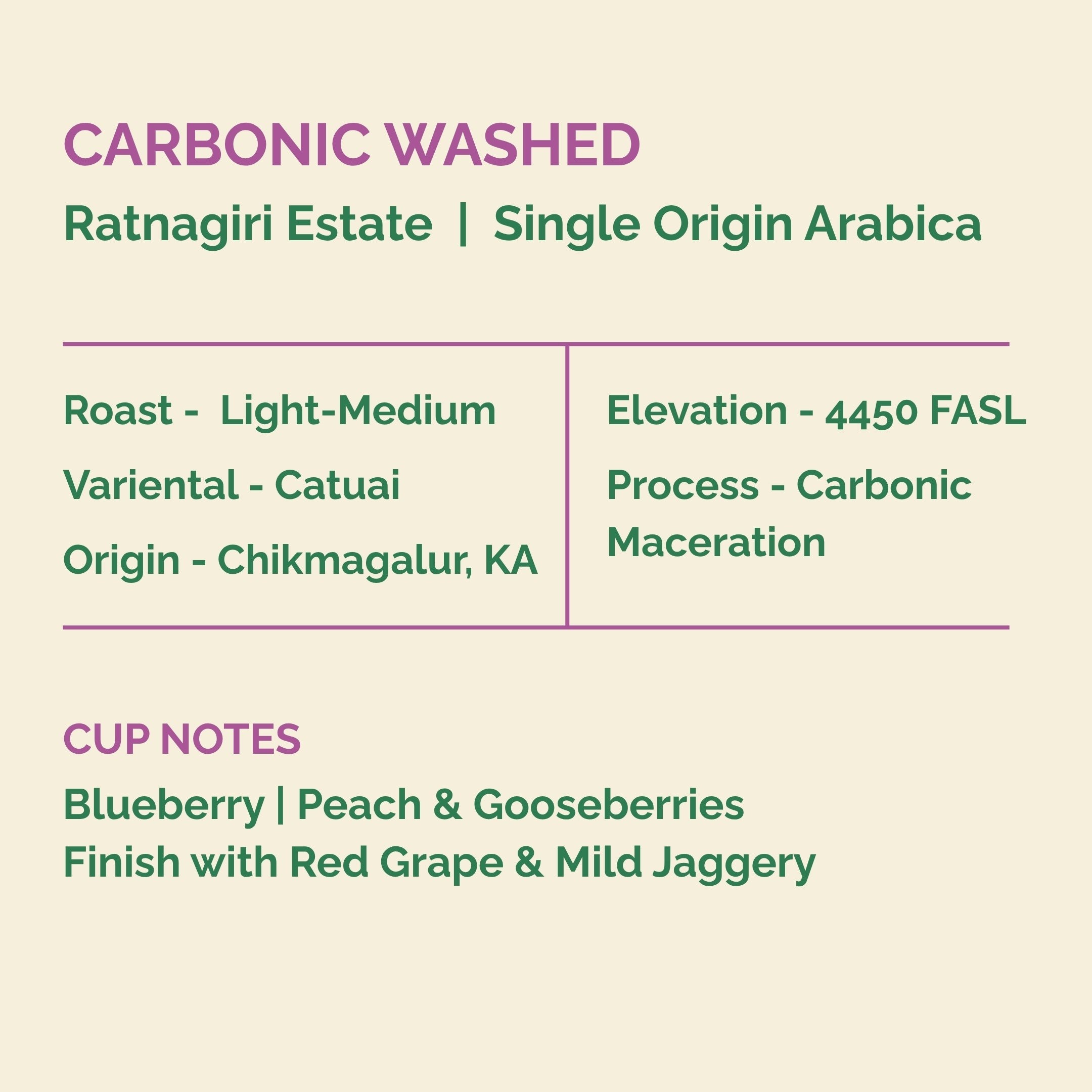 Ratnagiri Washed by Capulus Beans Coffee Roasters
