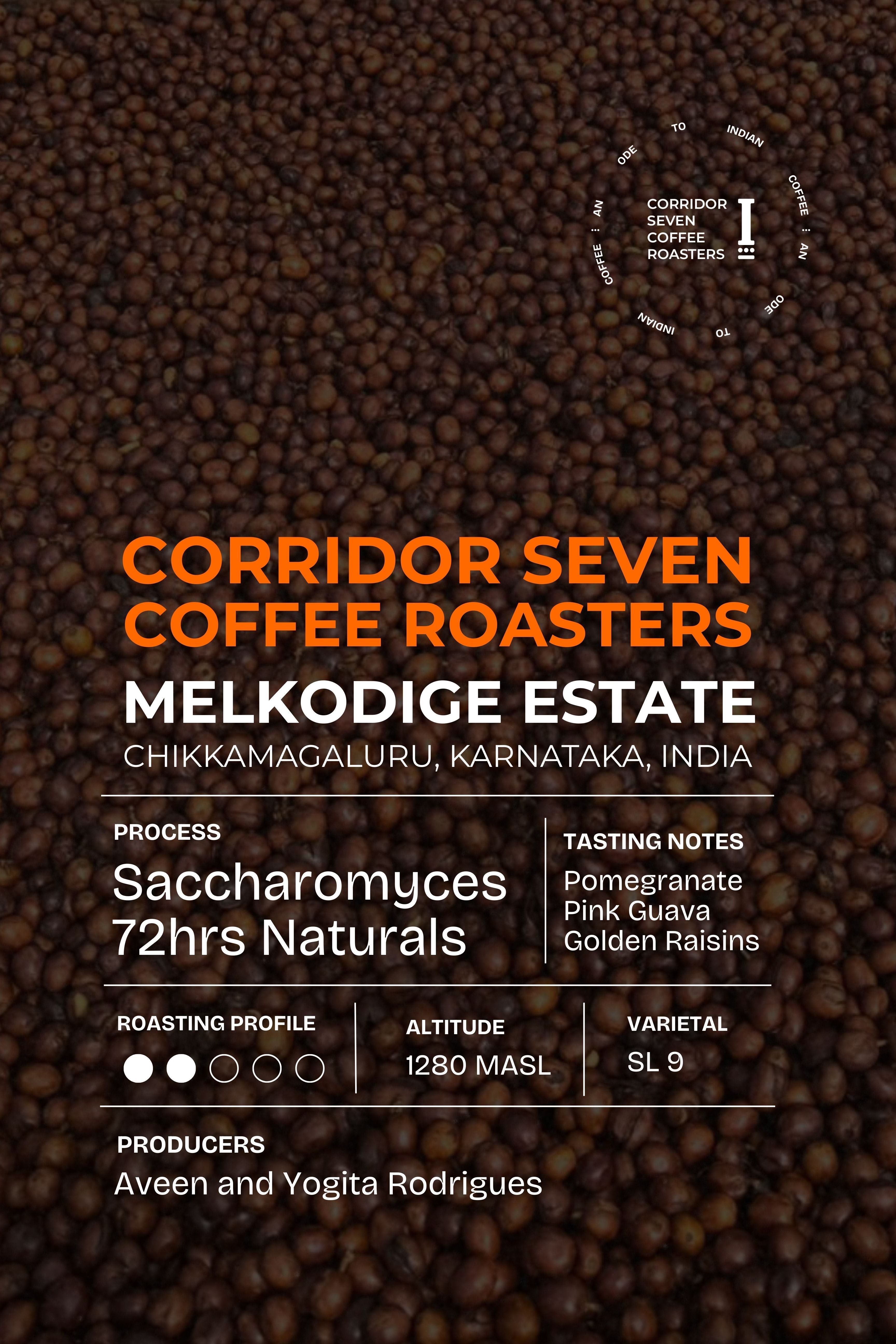 N72 by Corridor Seven