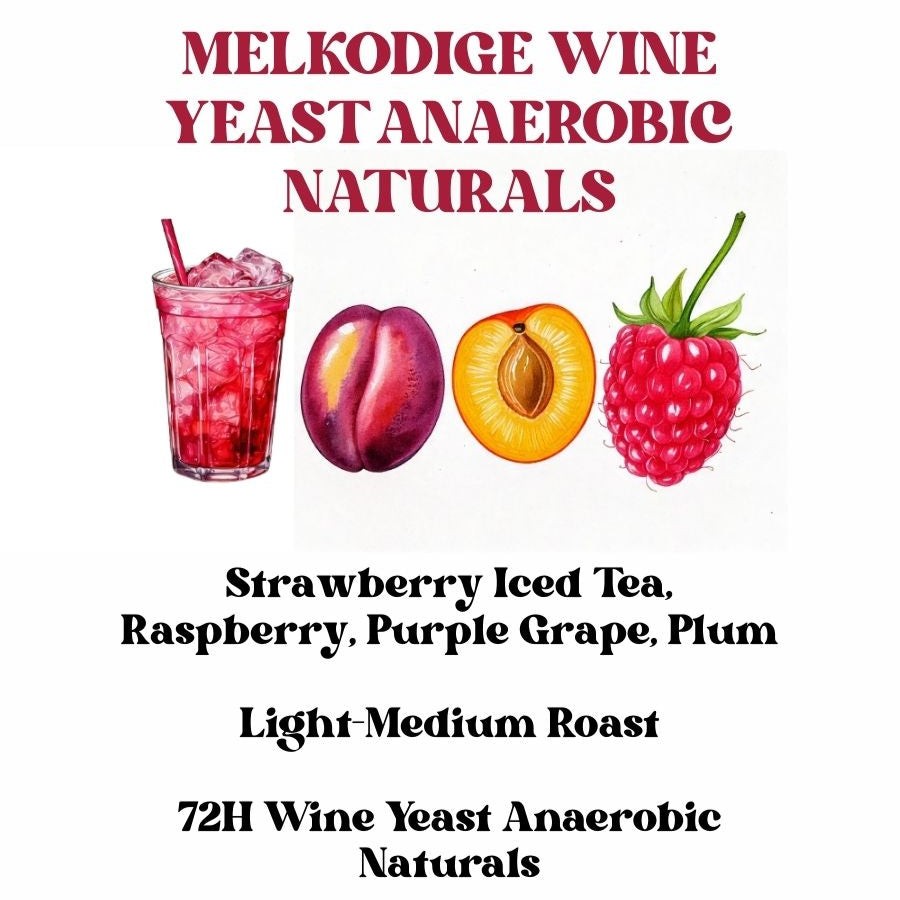 Melkodige Wine Yeast Anaerobic Naturals by Rossette Coffee