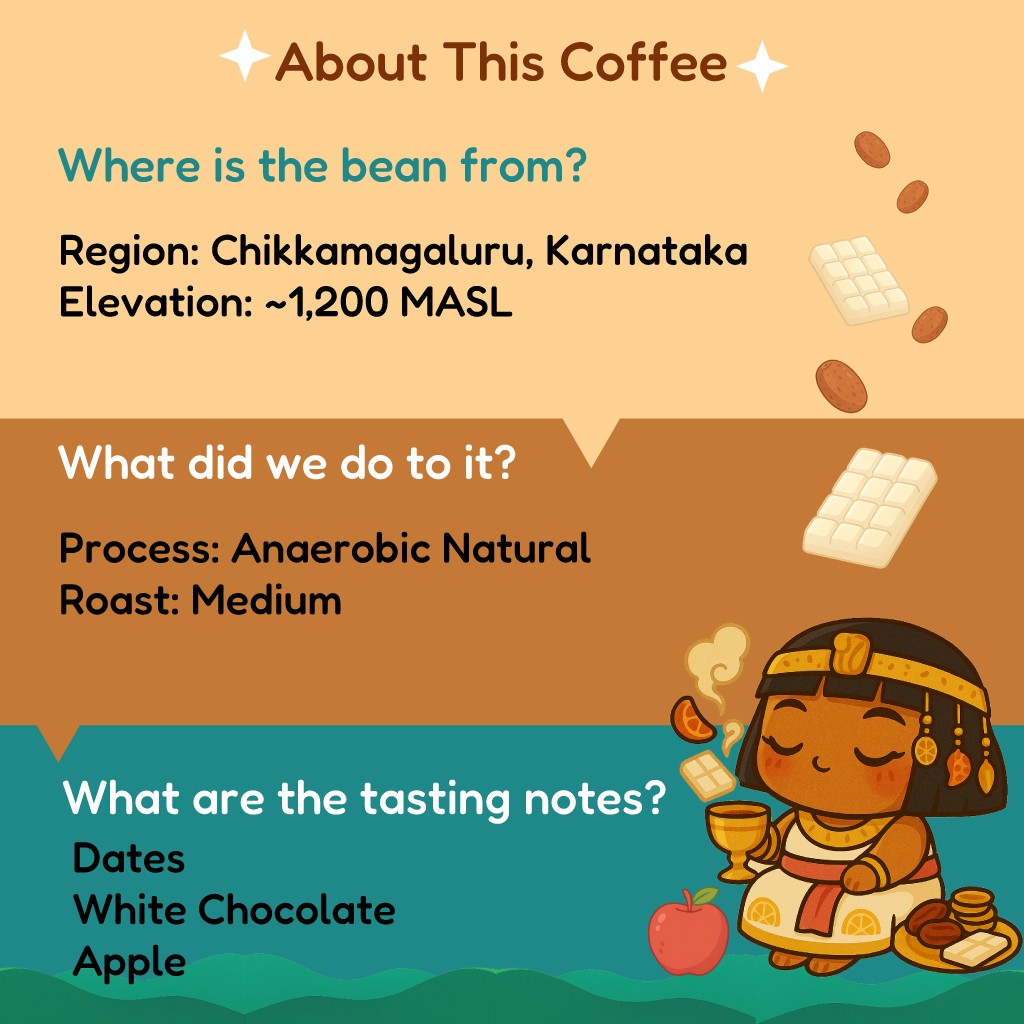 Coffee Anthology by Korero