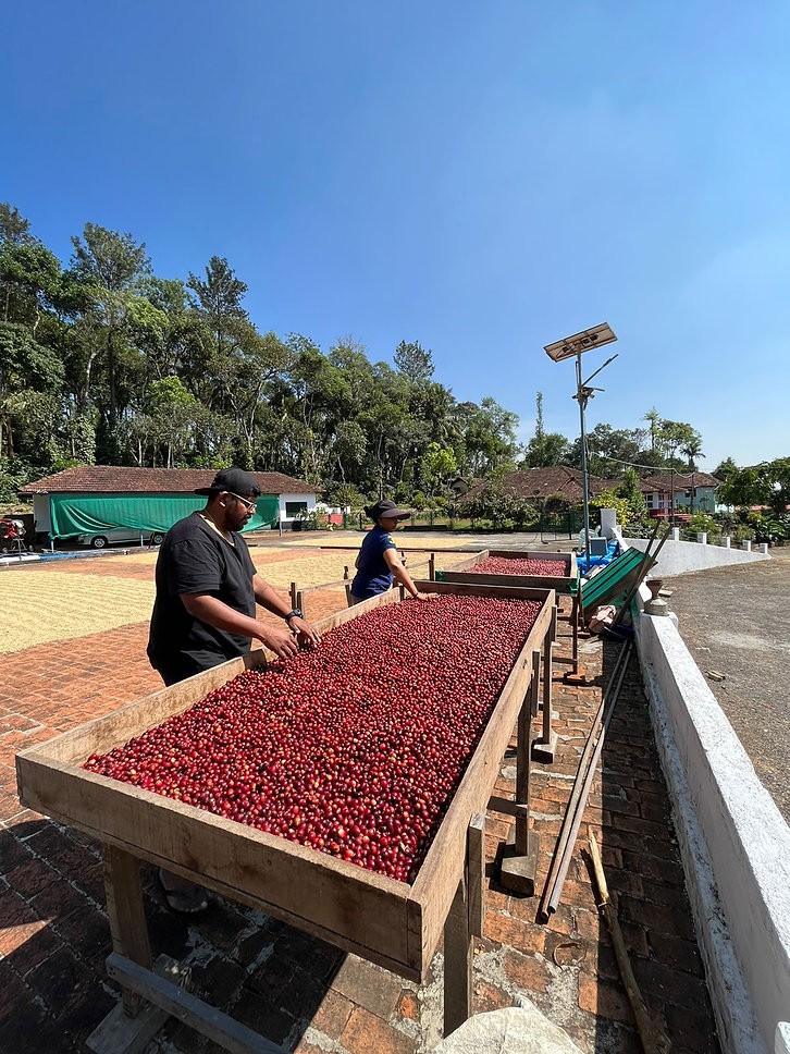 Dragon Jam by Naivo Coffee Company