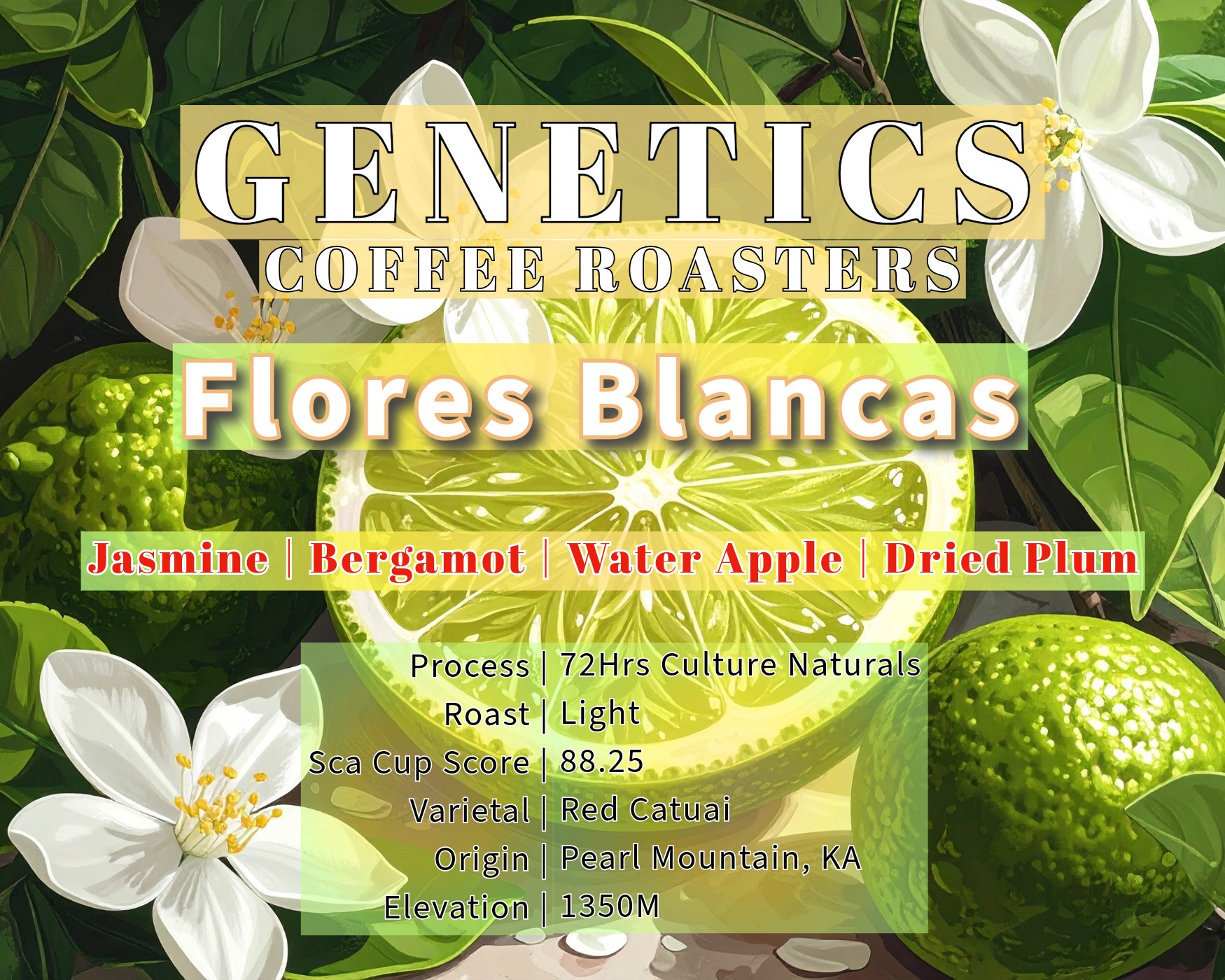 Flores Blancas by Genetics Coffee (Koffie Genetics)