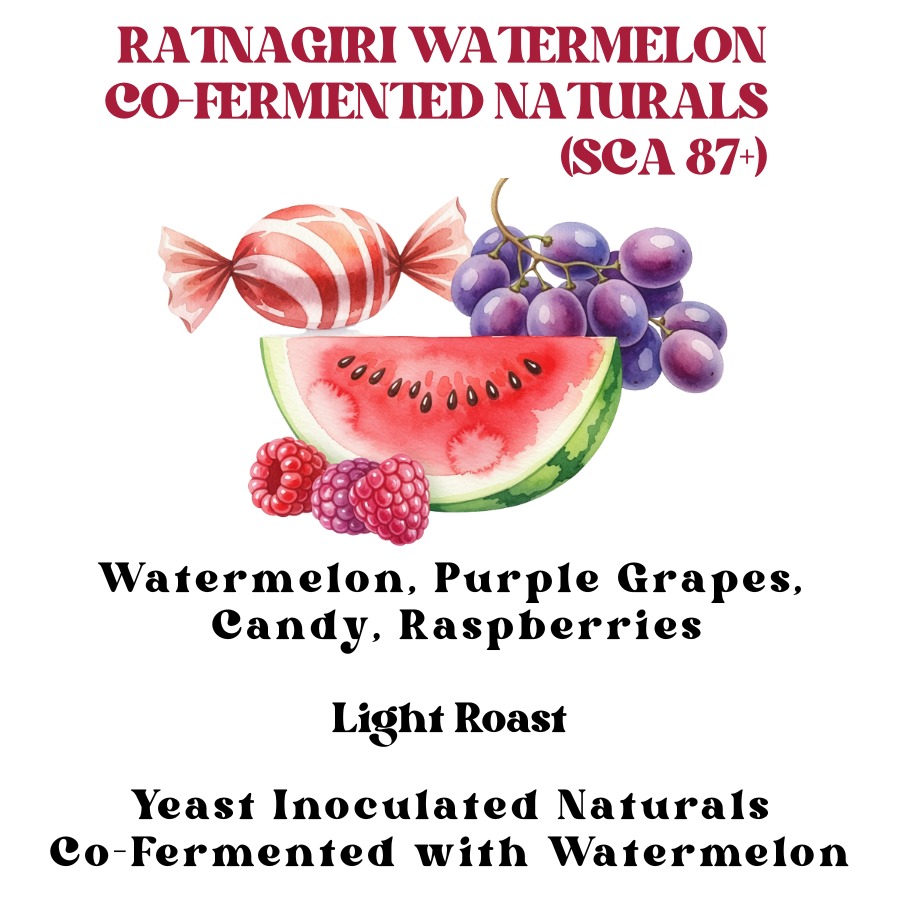 Watermelon Co-Ferment by Rossette Coffee
