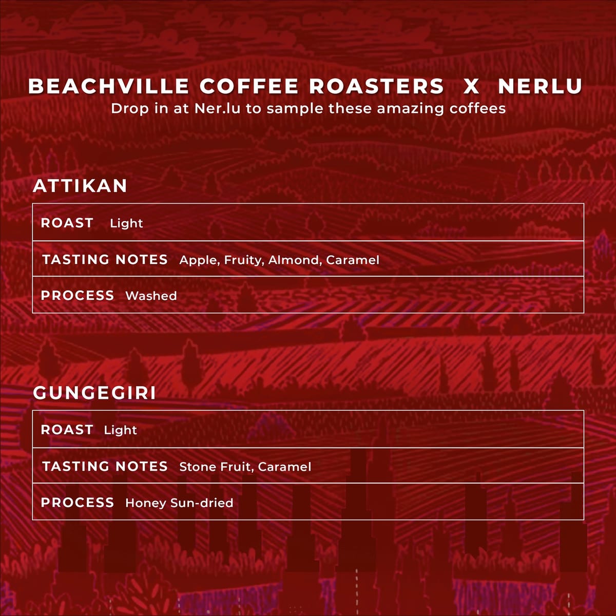 Menu photo from Beachville Coffee Roasters