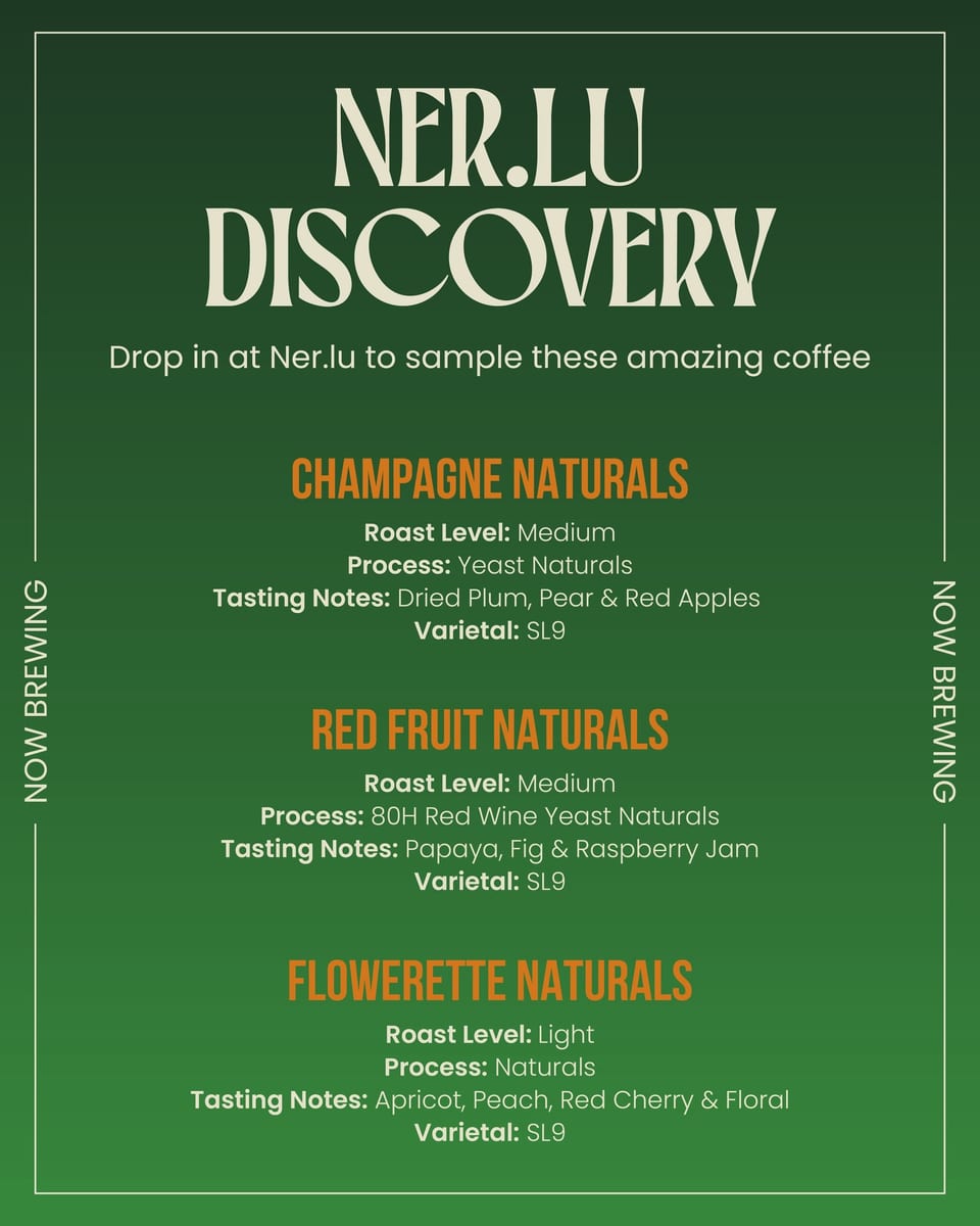 Ner.lu Discovery — Champagne, Red Fruit and Flowerette Naturals