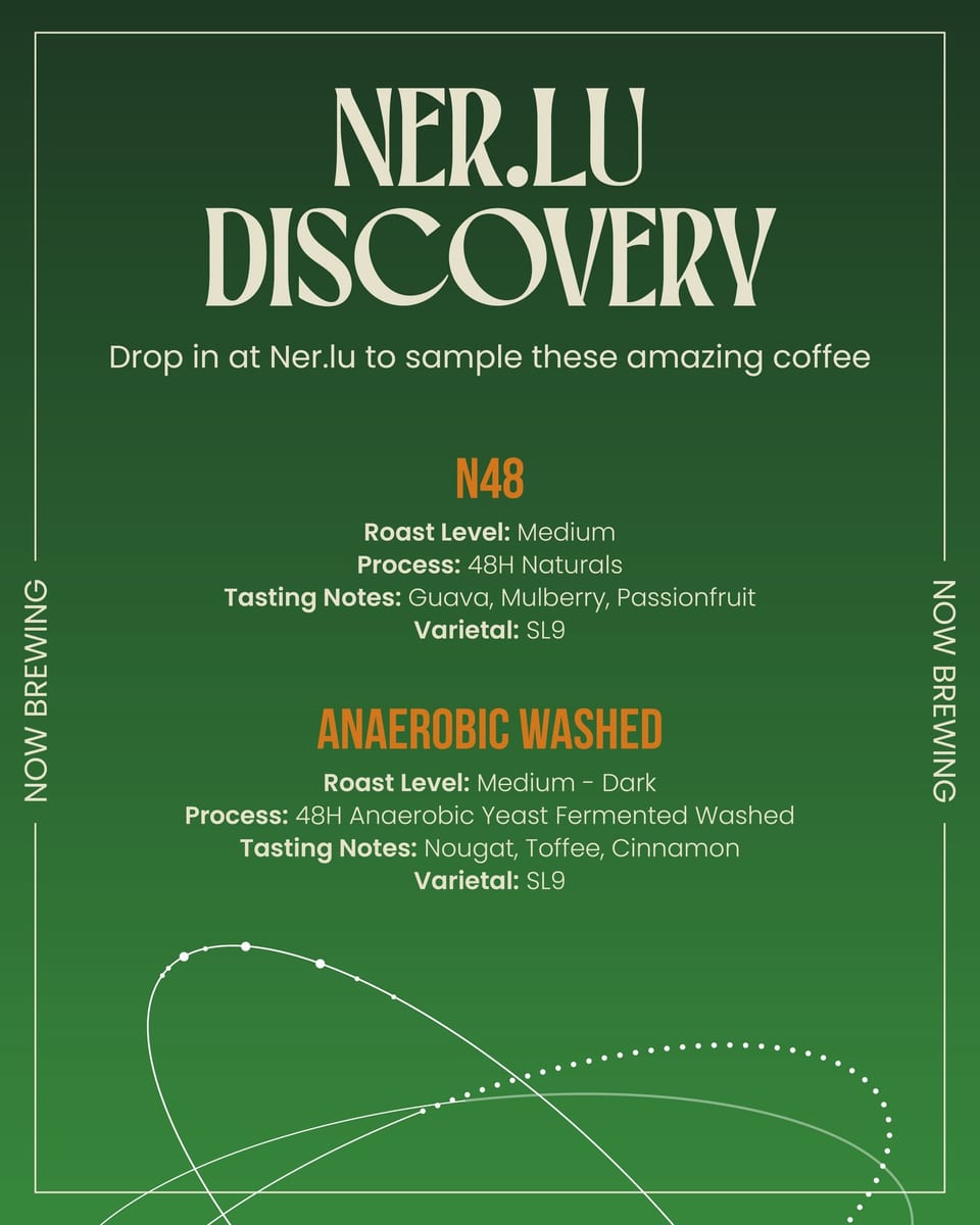 Ner.lu Discovery — N48 and Anaerobic Washed